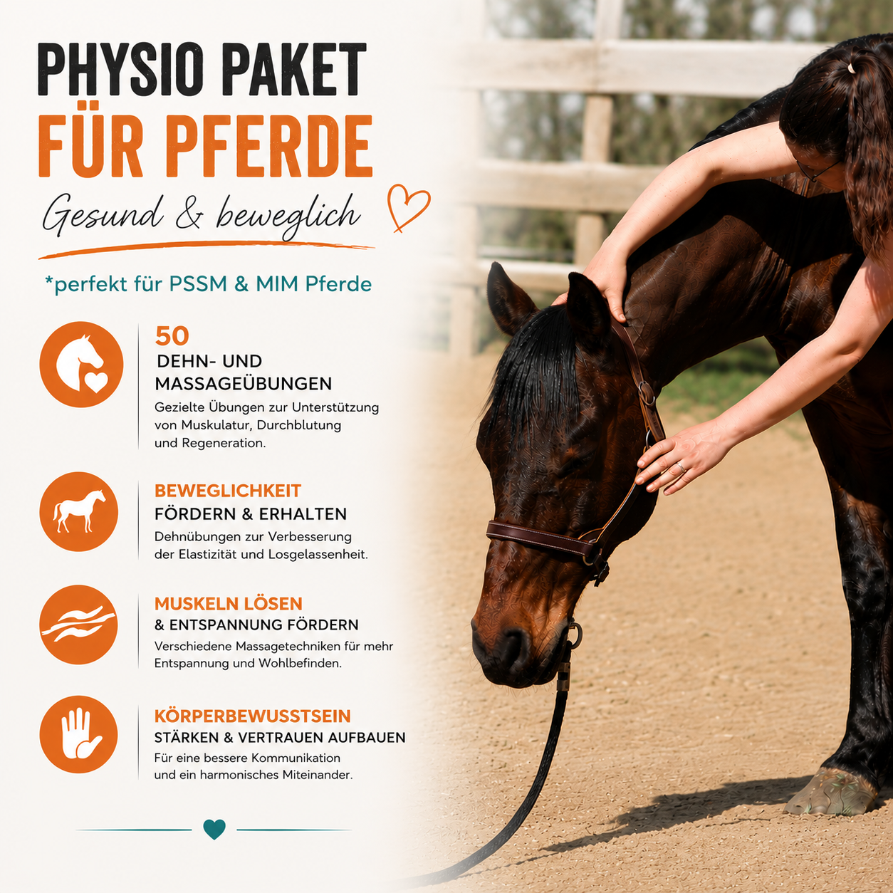 Physio-Paket mit Dehn- und Massageübungen