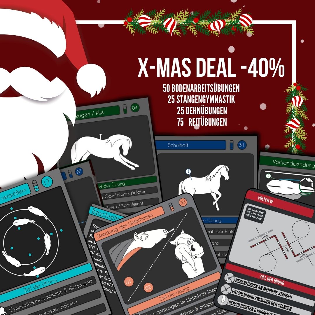 XMAS DEAL 