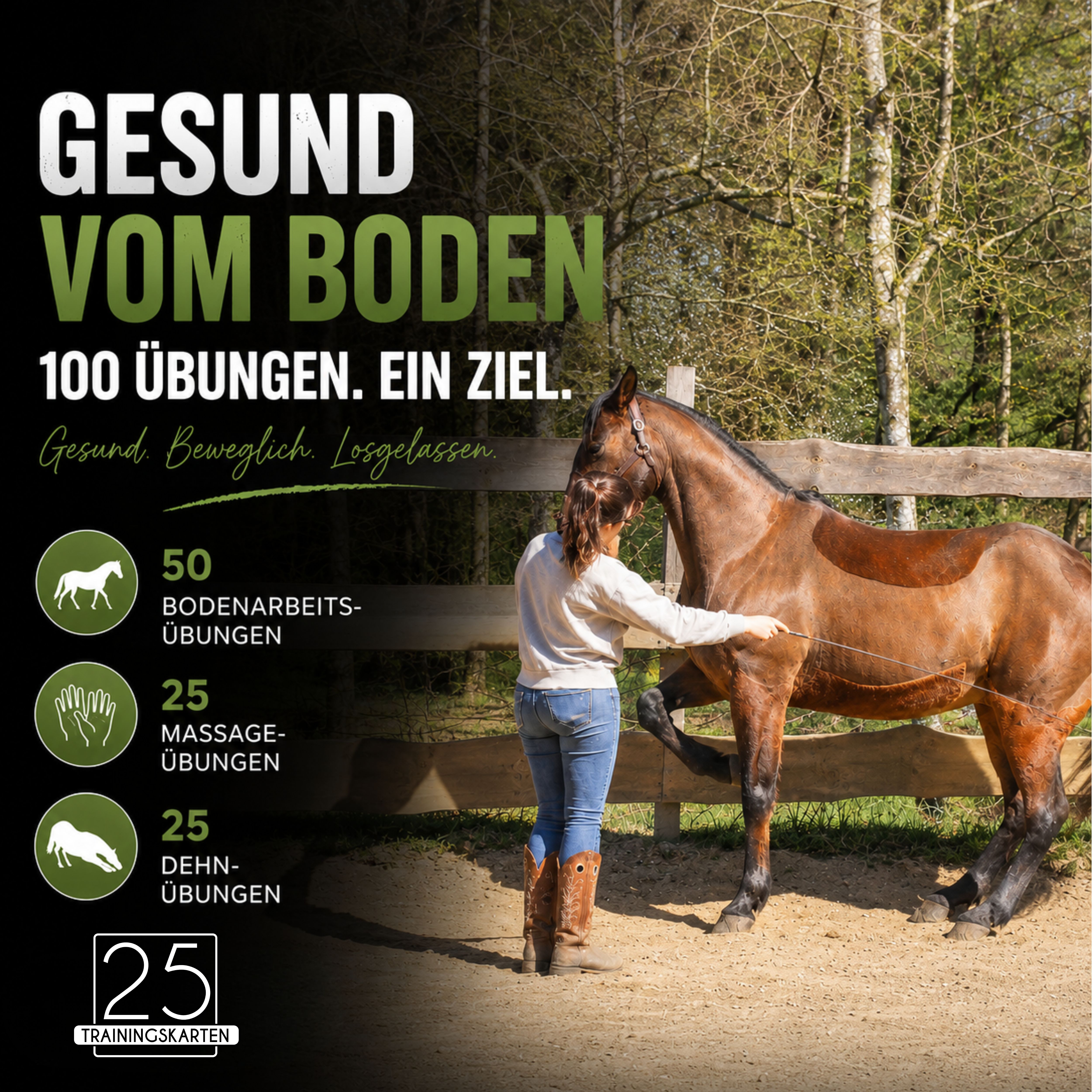Gesund vom Boden Trainingskarten-Paket