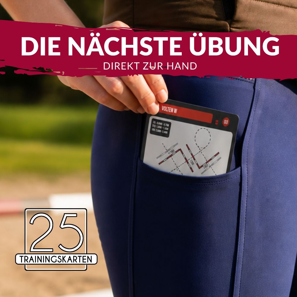Rundum Gesund - PferdeFit- 225 Übungen für ein Rundum gesundes Pferd