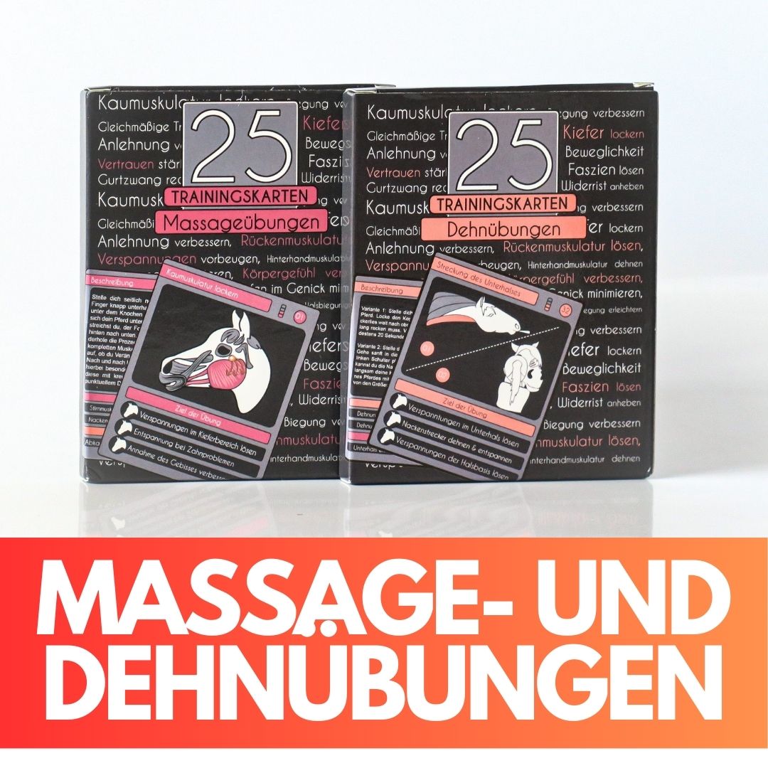 Dehn- und Massageübungen 25 Trainingskarten
