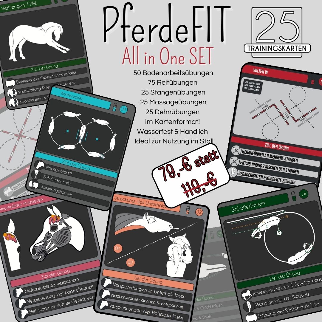 PferdeFit - Umfassendes Trainingsset