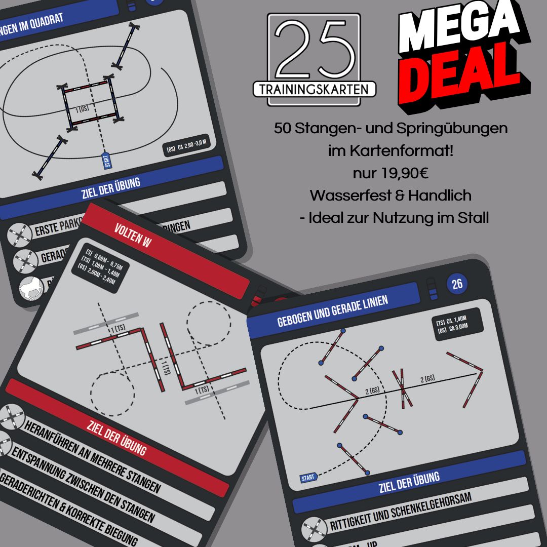 Stangen- und Springgymnastik  25 Trainingskarten