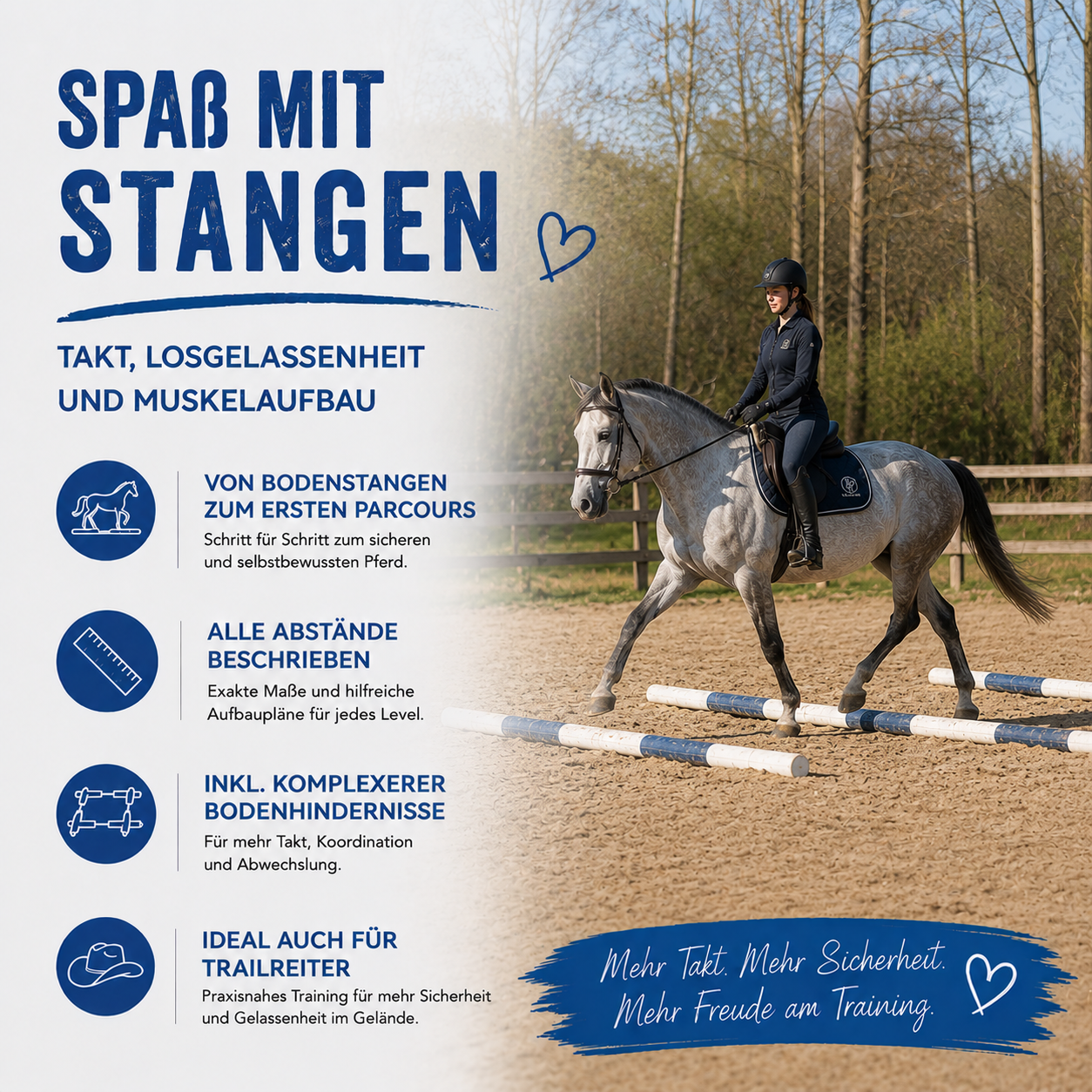 Stangenpaket für Pferde mit Stangen und Cavaletti