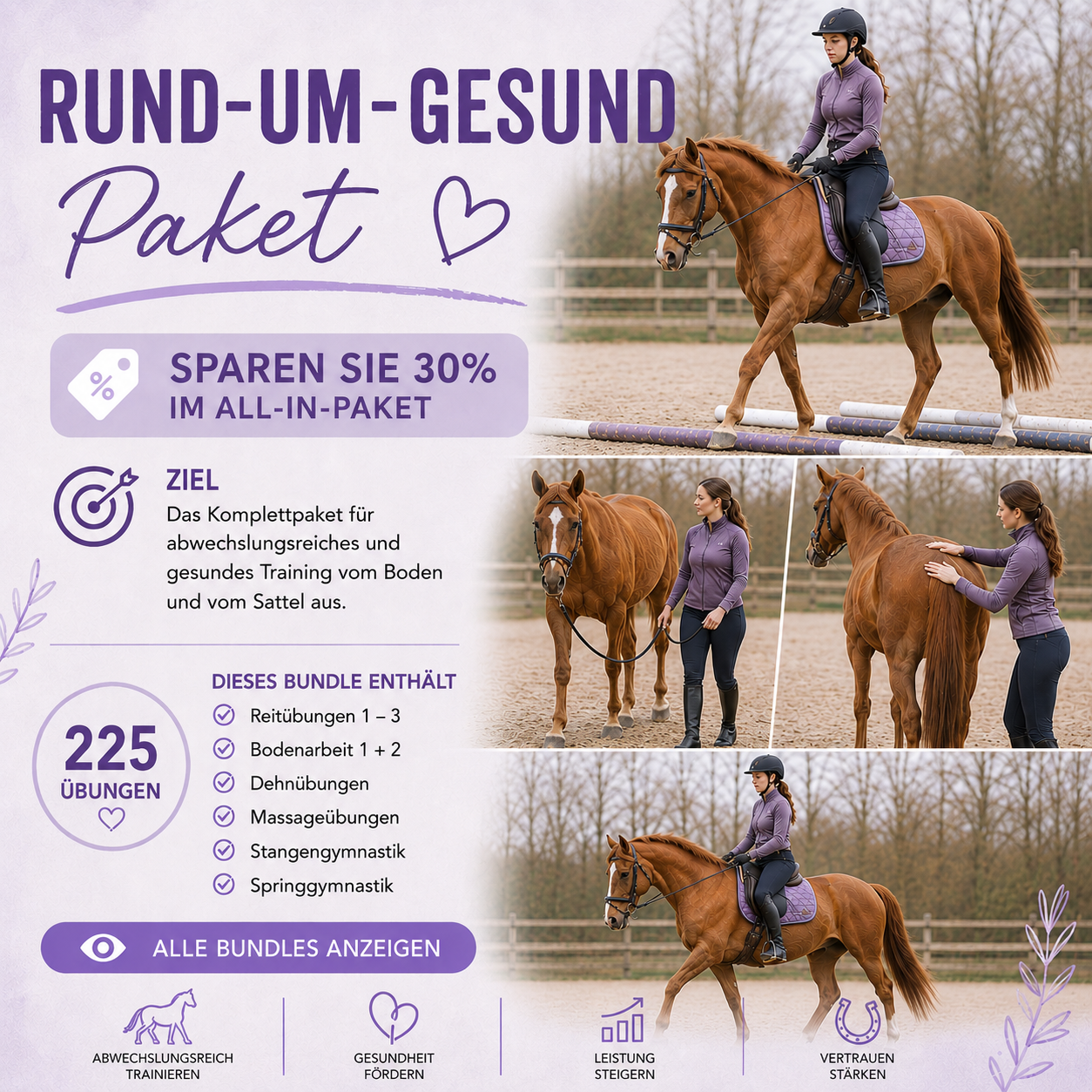 Rundum gesund Komplettpaket für Pferde