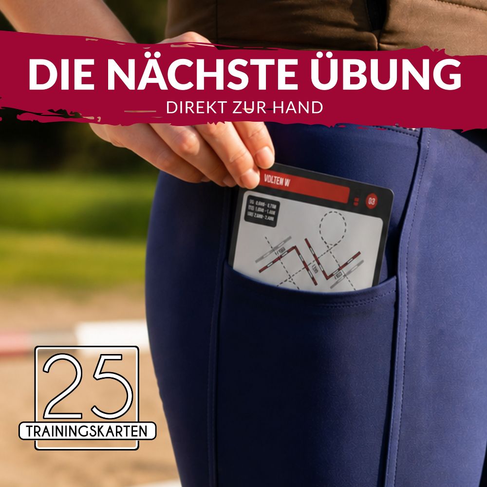 Stangenpaket für Pferde | 50 Übungen mit Stangen & Cavaletti