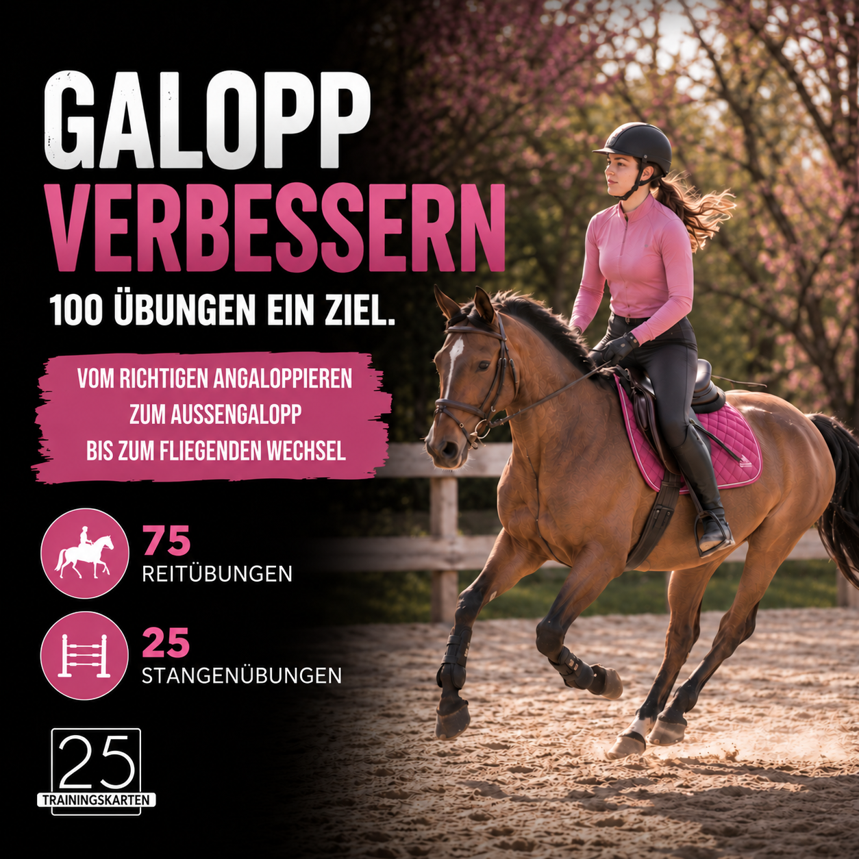 Galopp Verbessern