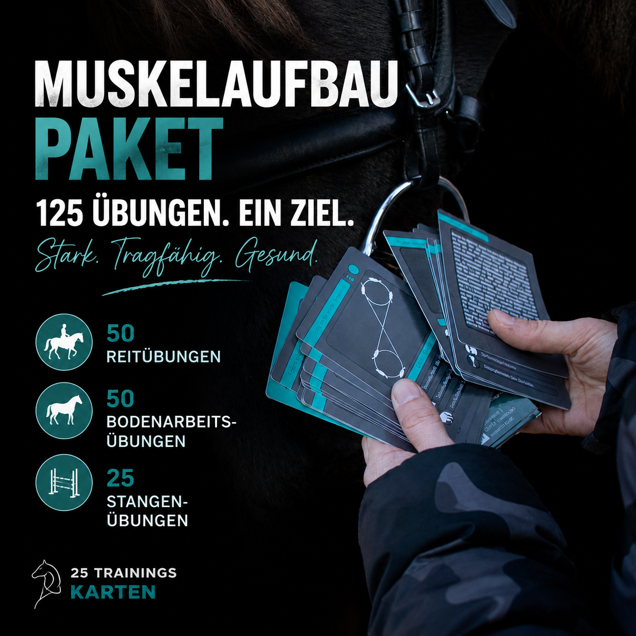 Muskelaufbau BUNDLE