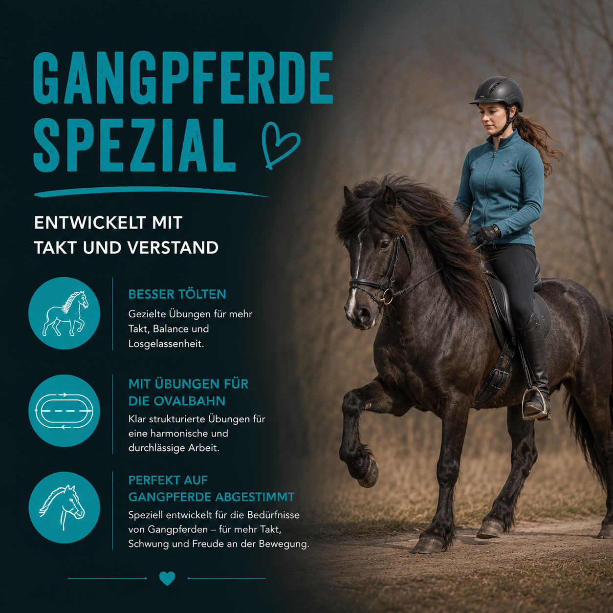 Gangpferde Spezial Trainingskarten für Tölt und Pass