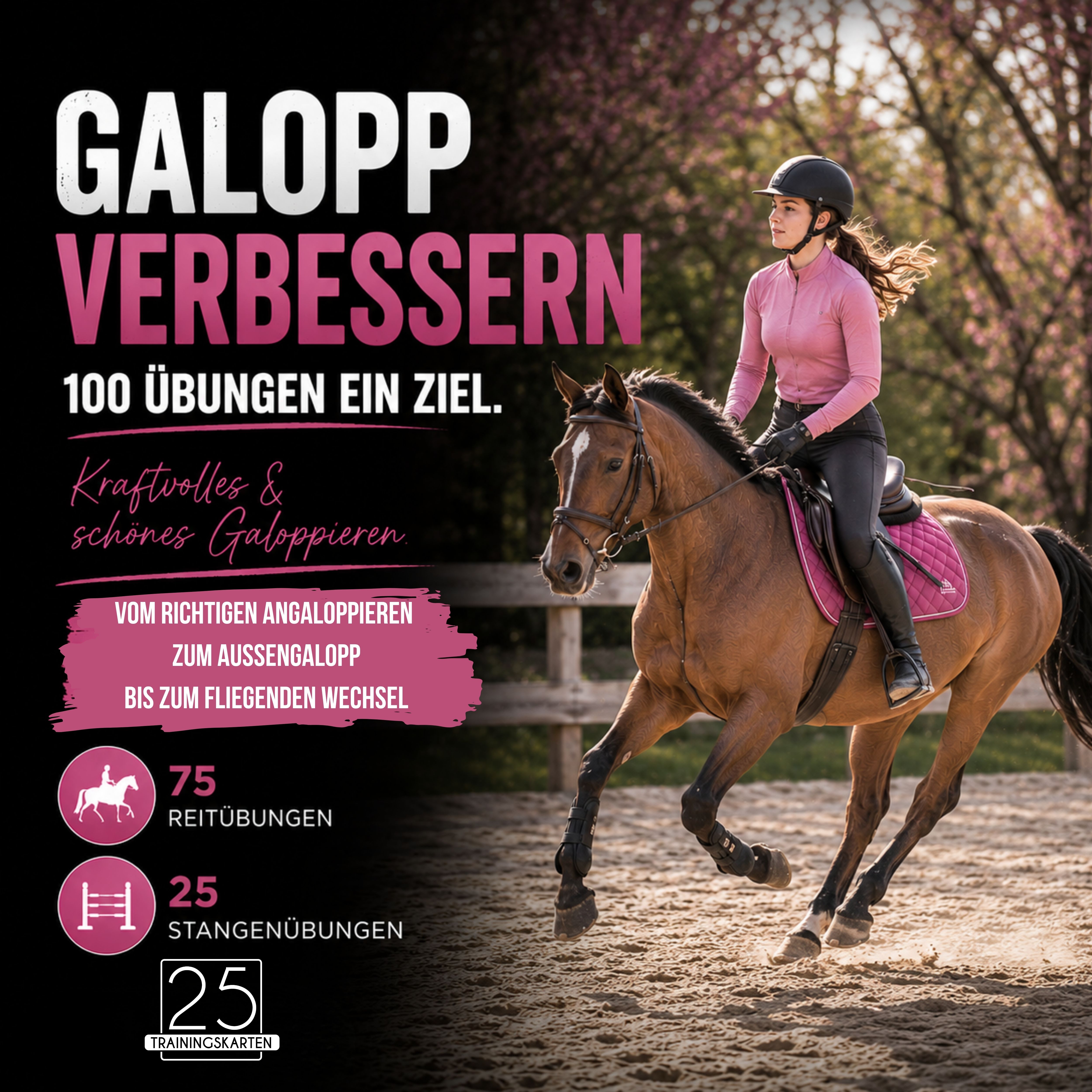 Galopp verbessern Trainingskarten-Paket