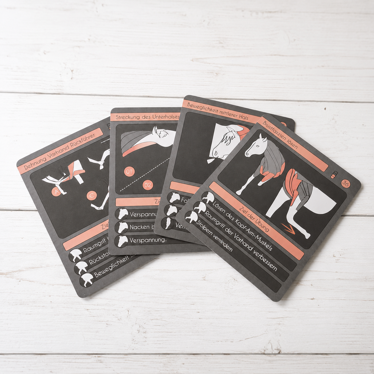 Physio-Paket für Pferde | 50 Dehn- & Massageübungen