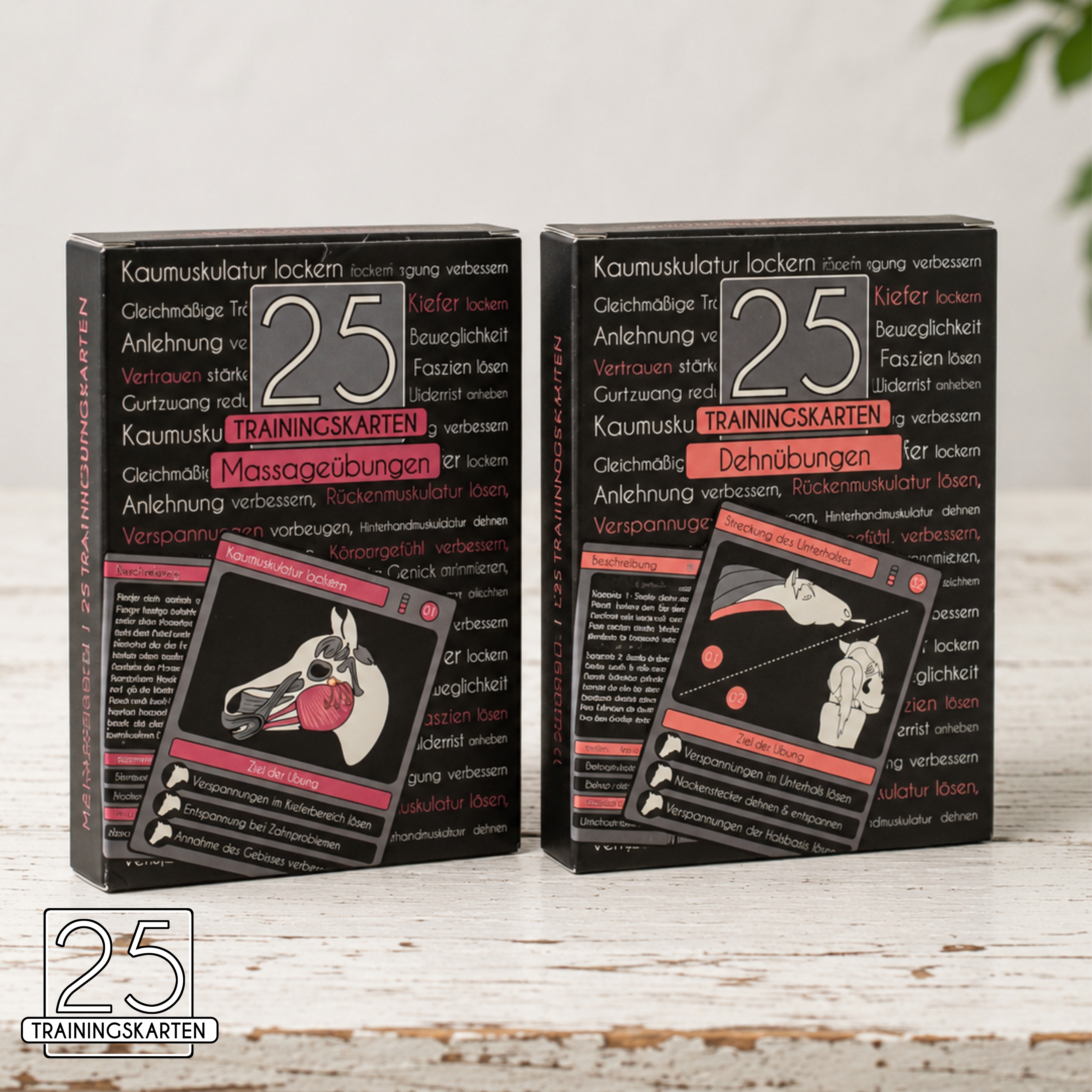 Physio-Paket für Pferde | 50 Dehn- & Massageübungen