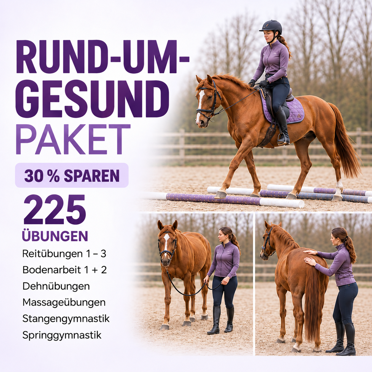 Rundum Gesund - PferdeFit- 225 Übungen für ein Rundum gesundes Pferd