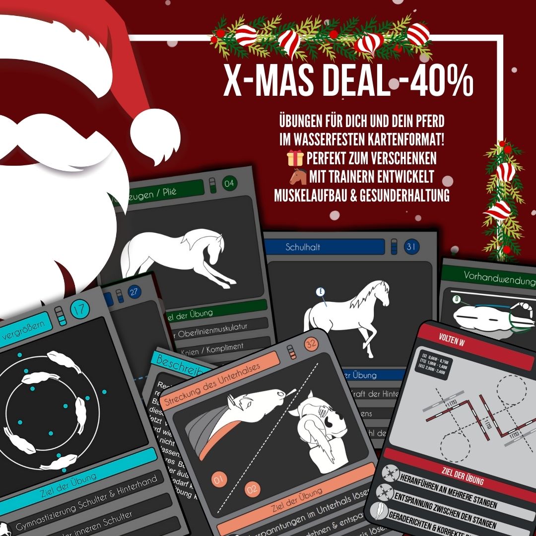 XMAS DEAL: 5× 25 Trainingskarten – Spare 40 %