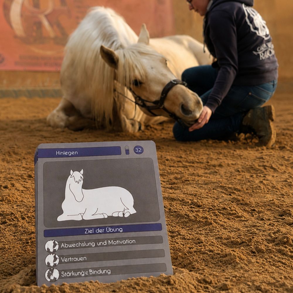 Rundum Gesund - PferdeFit- 225 Übungen für ein Rundum gesundes Pferd