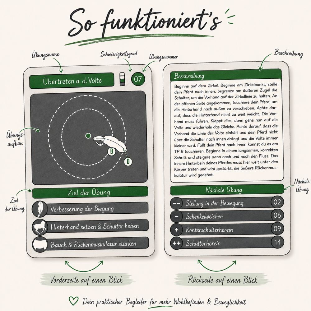 Kommunikation & Vertrauen - Perfekt für Jungpferde